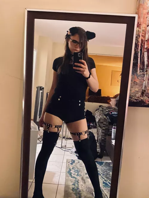 Think you could tame me?