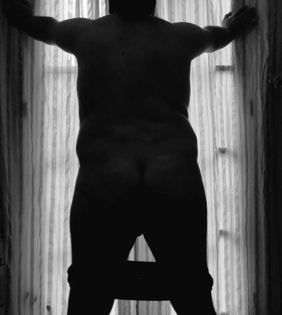 Thinking about opening that window and showing the bear's body to the neighborhood