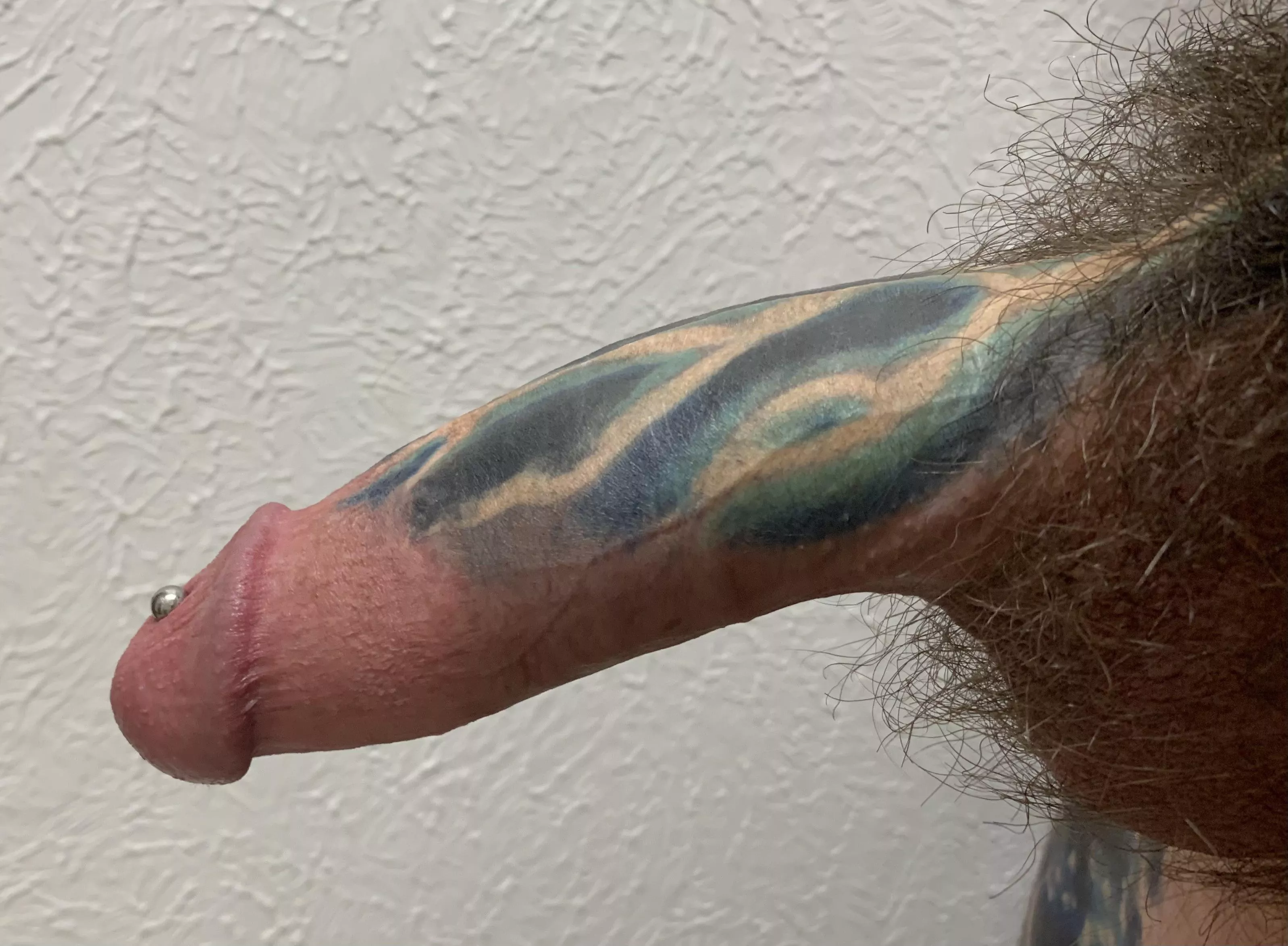 Thinking about shaving the bush. What do you think? Thinking about shaving the bush. What do you think?