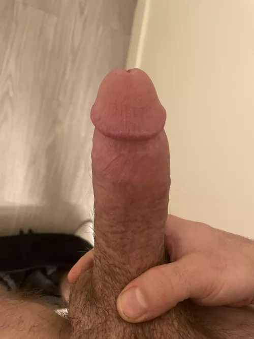 Thinking of ways to spend this lazy Sunday