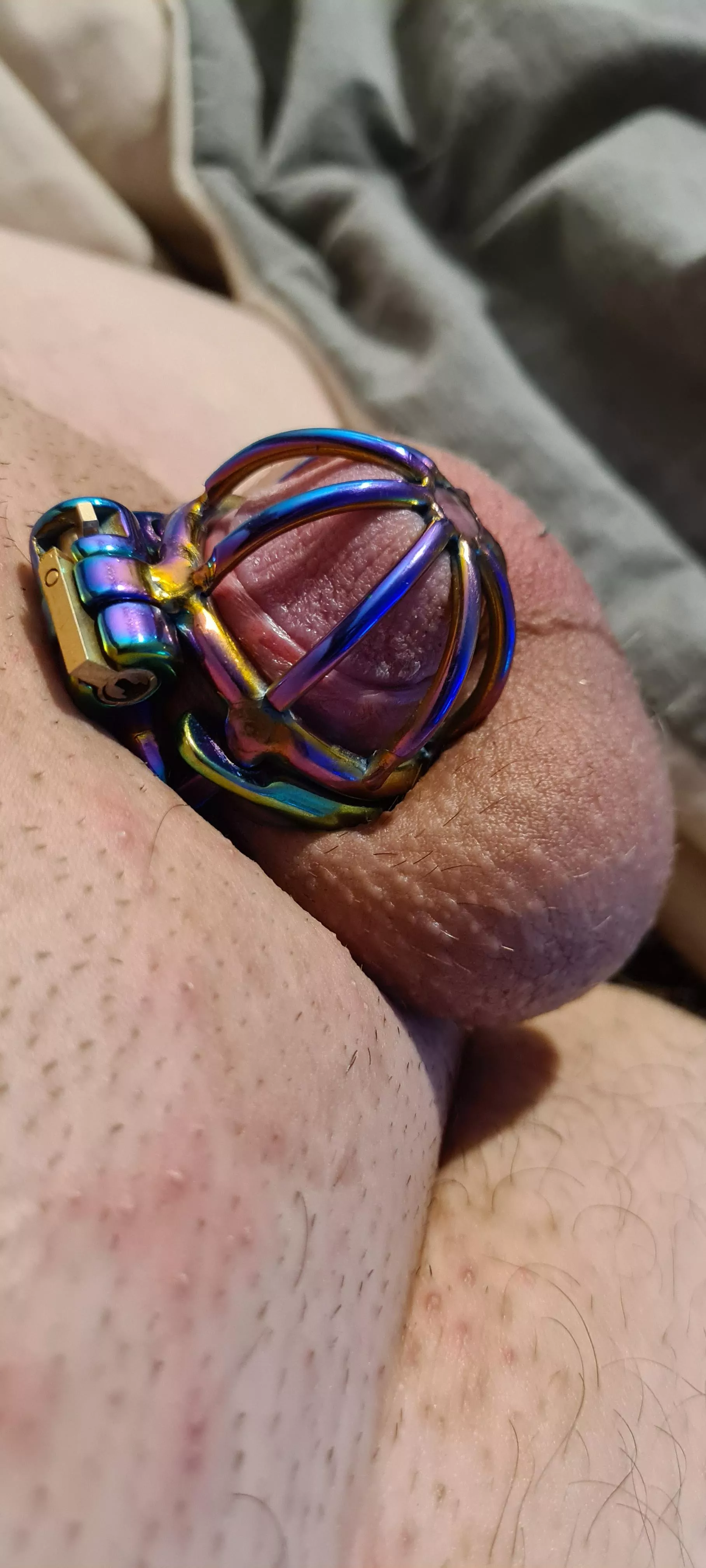 This cage is so pretty 😍