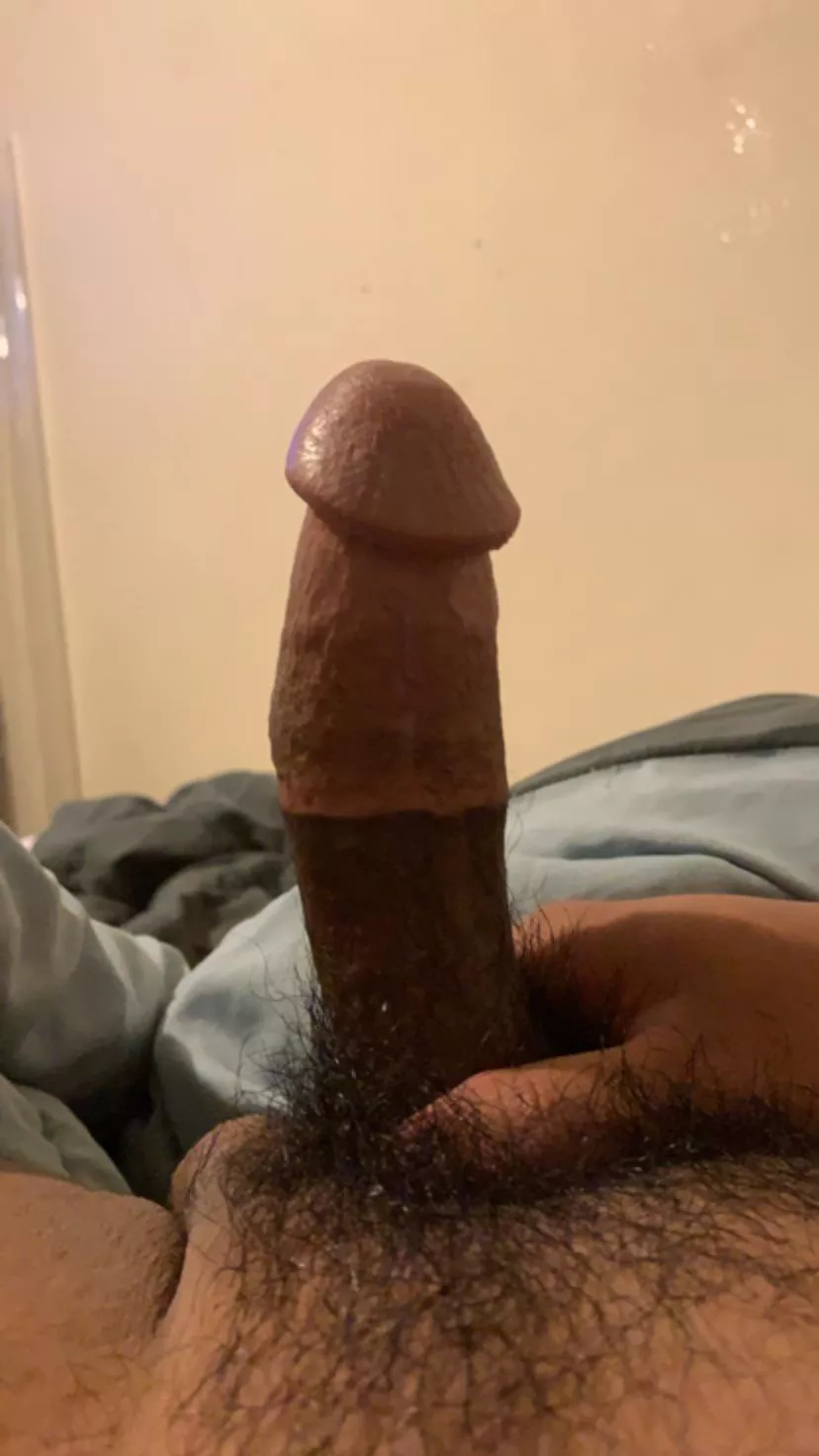 This cut cock can get harder