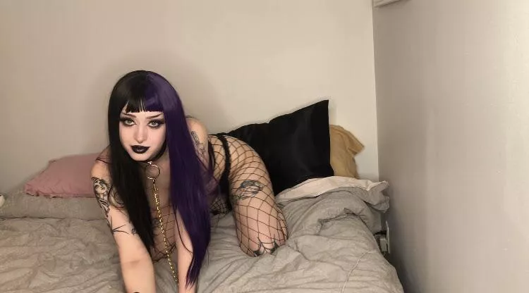 This dog needs some serious training 🐶😈