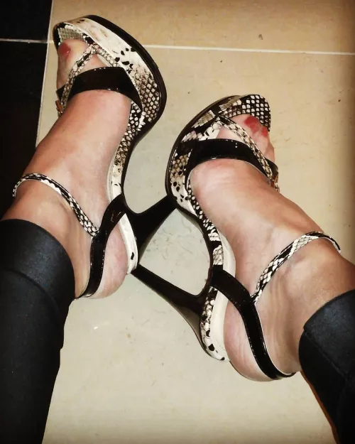 This evening's first pair