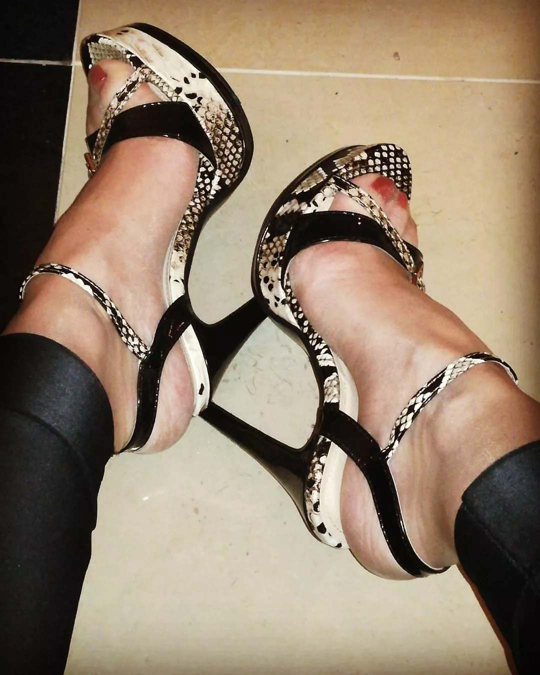 This evening's first pair