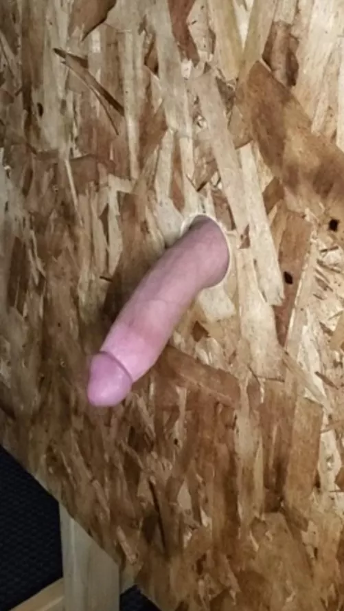 This glory hole cock isn't going to suck itself. [Not OC]