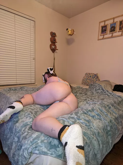 This is a comfy position to lay in 🤷