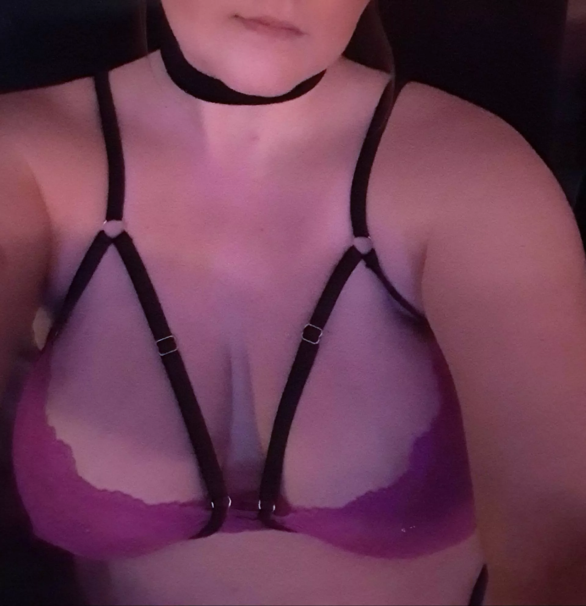 This is appropriate evening attire...right? This is appropriate evening attire...right?