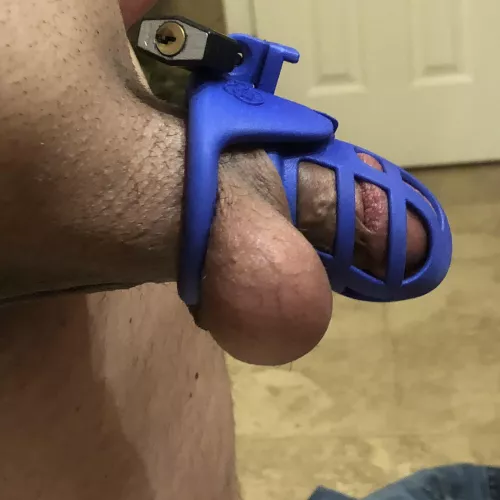 This is what happens when she locks me up and goes to meet her bull. She calls me and makes me listen to them fucking and her cumming loudly
