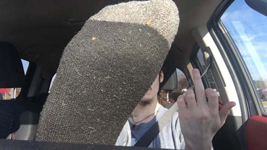 This is your home now boy get to sniffing footboy