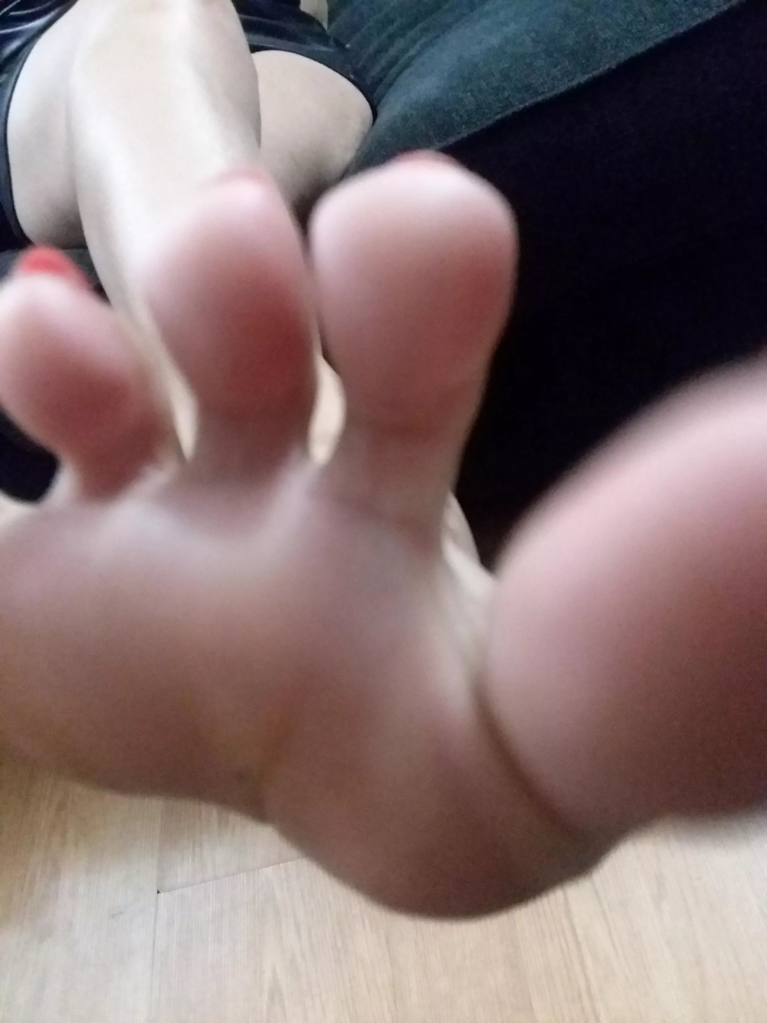 This little piggy could be all yours This little piggy could be all yours