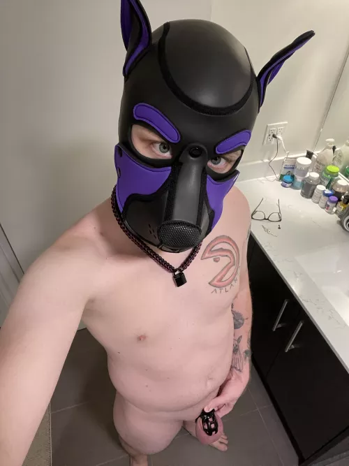 This locked puppy is desperate to lick your bone 👅