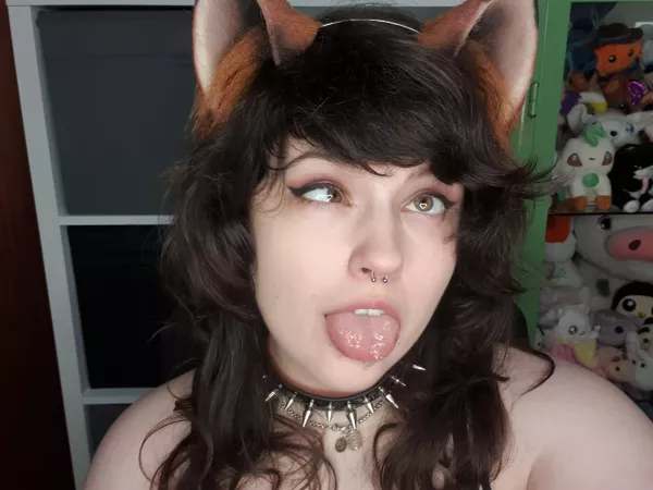 This pup drools, is that a problem? 🥺