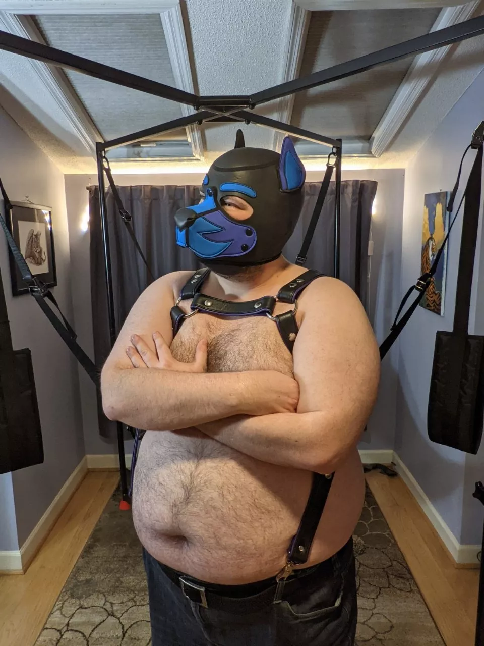 This pup is not impressed with your BS