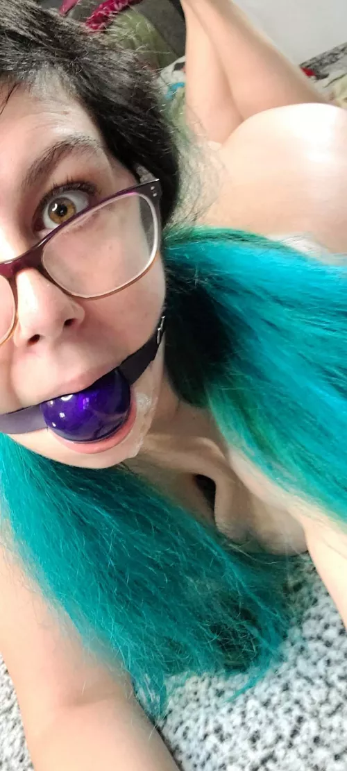 This will be used along with restraints and a crop this weekend. Very excited [F]