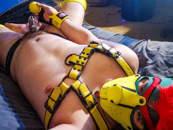 Thought id try to earn some money by letting people buy days im in chastity ^-^ wanna lock Bowser up?