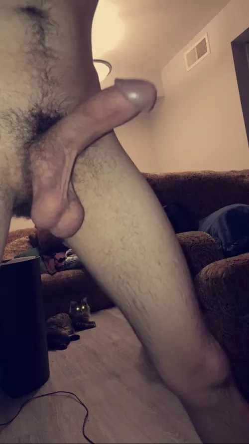 Thought my balls looked tasty after a shower