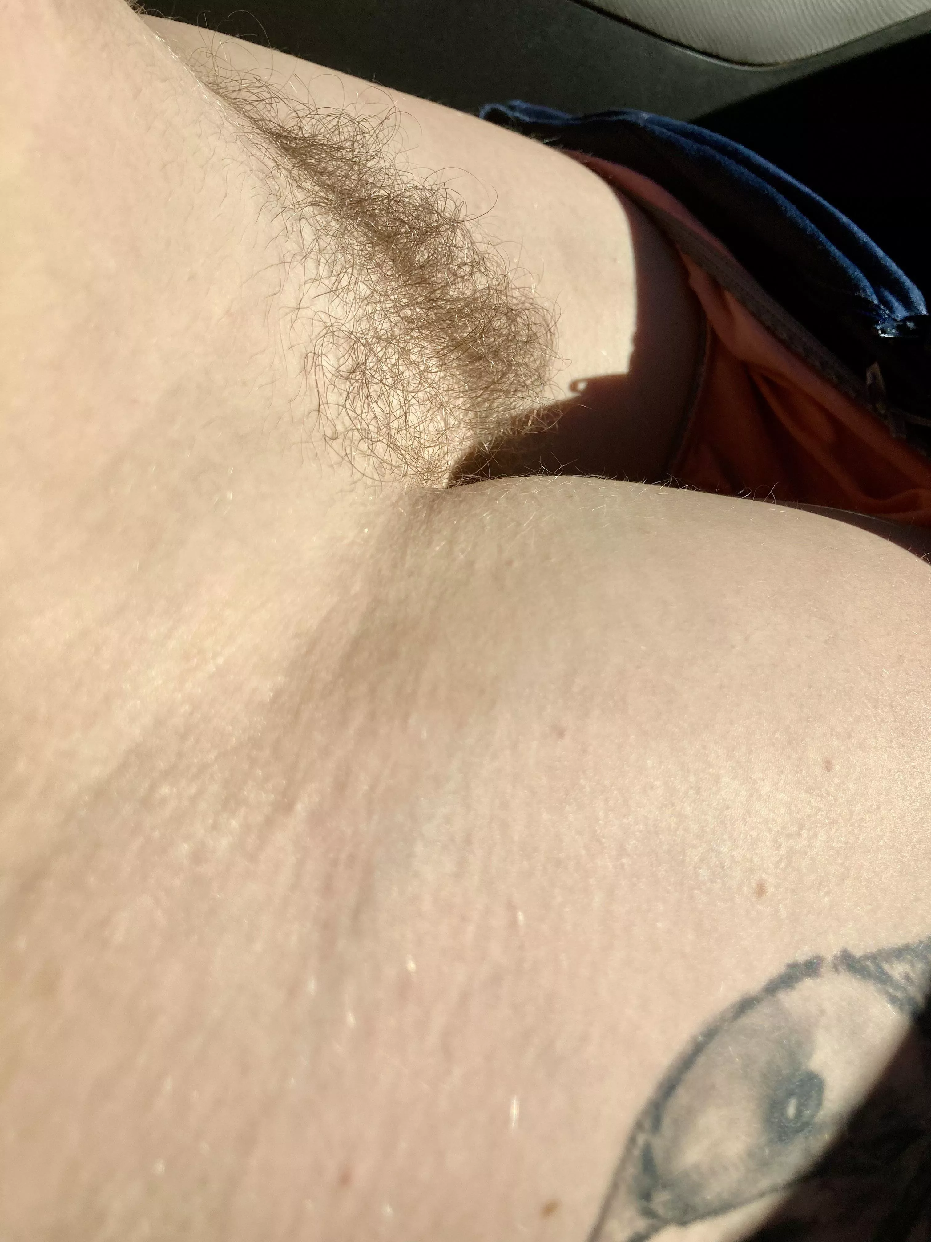 Thought you would appreciate this angle of my bush? 🤔🤔🤔 Thought you would appreciate this angle of my bush? 🤔🤔🤔