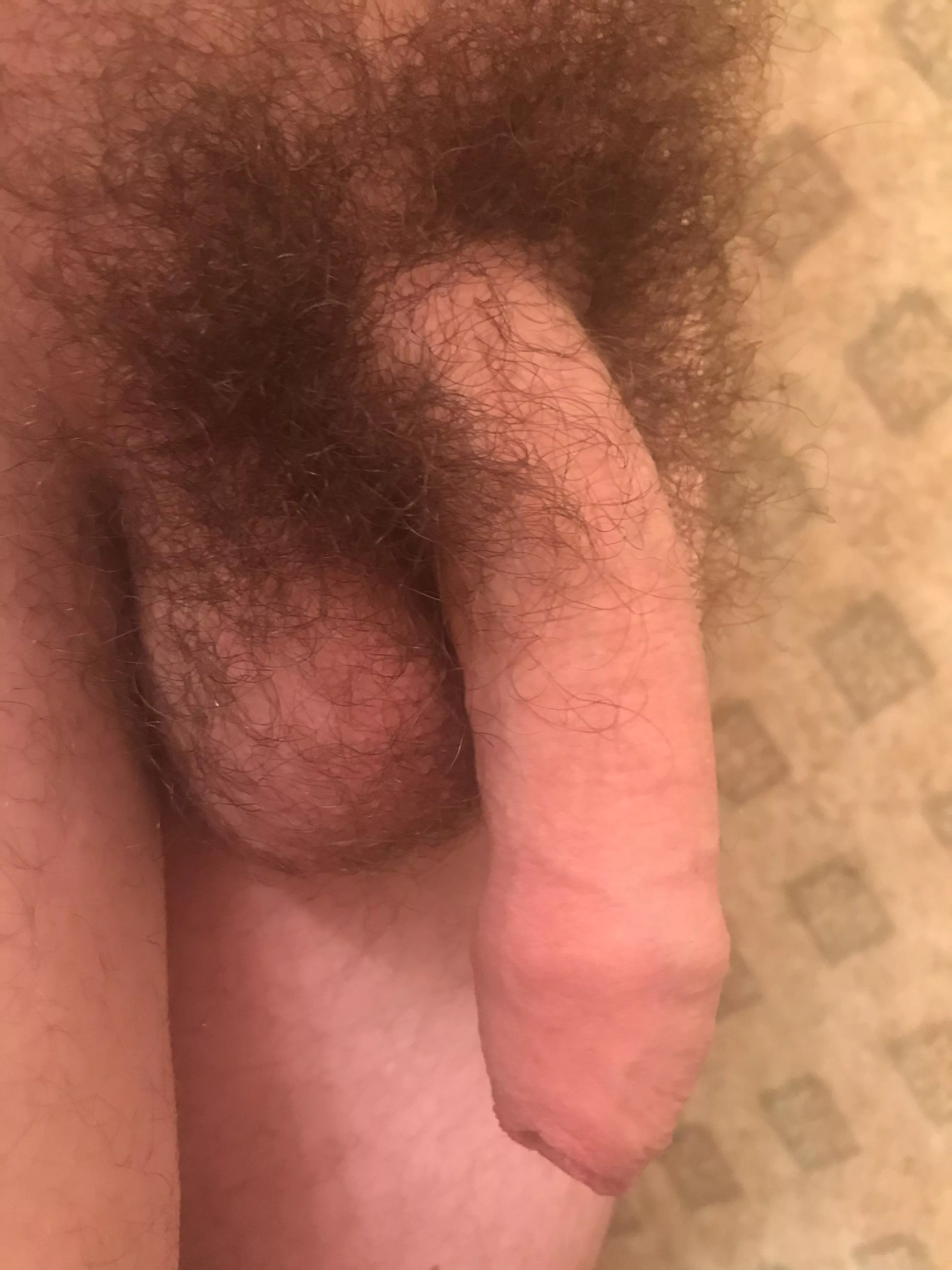 Thoughts on my foreskin?