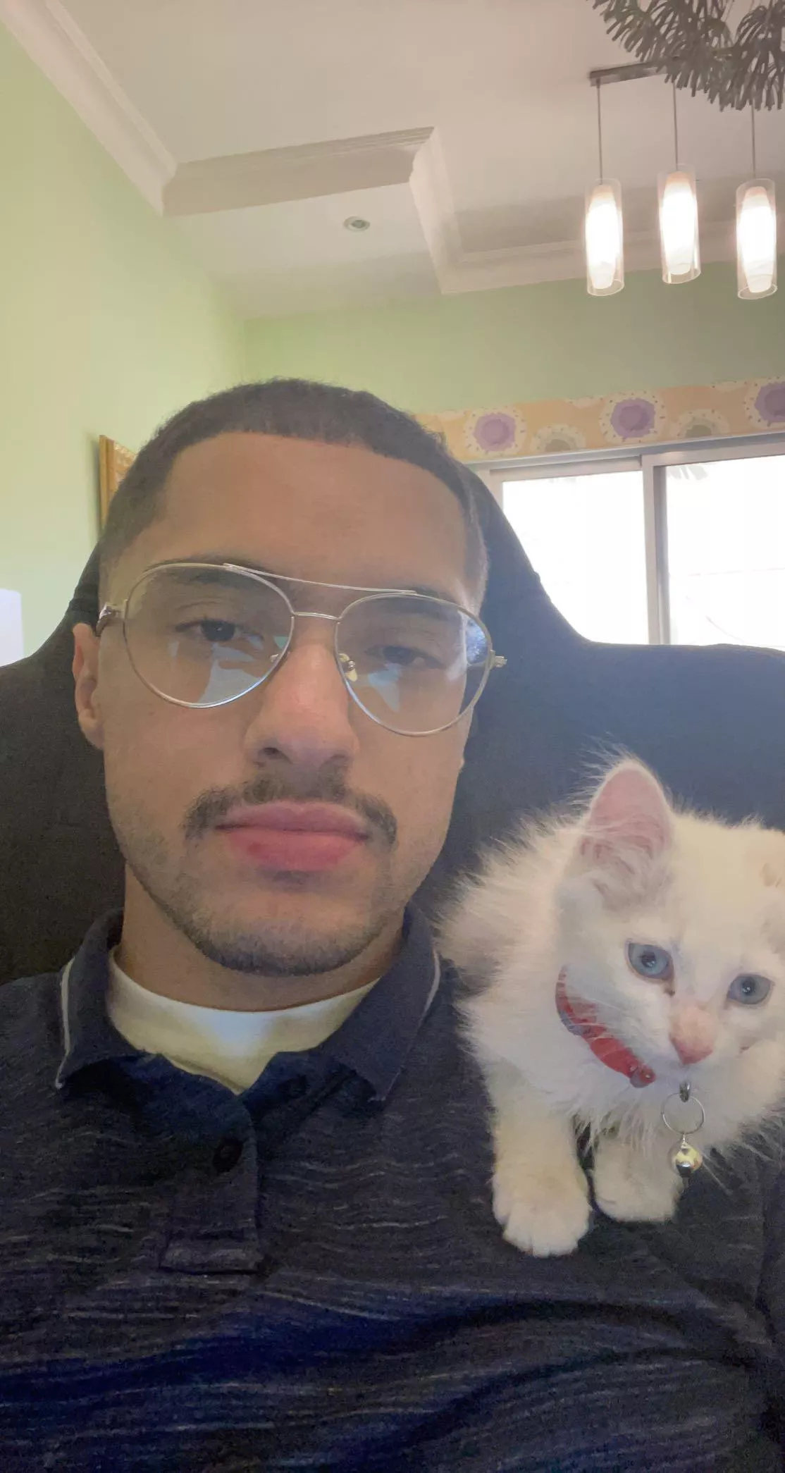 Throwback to when my cat was a baby