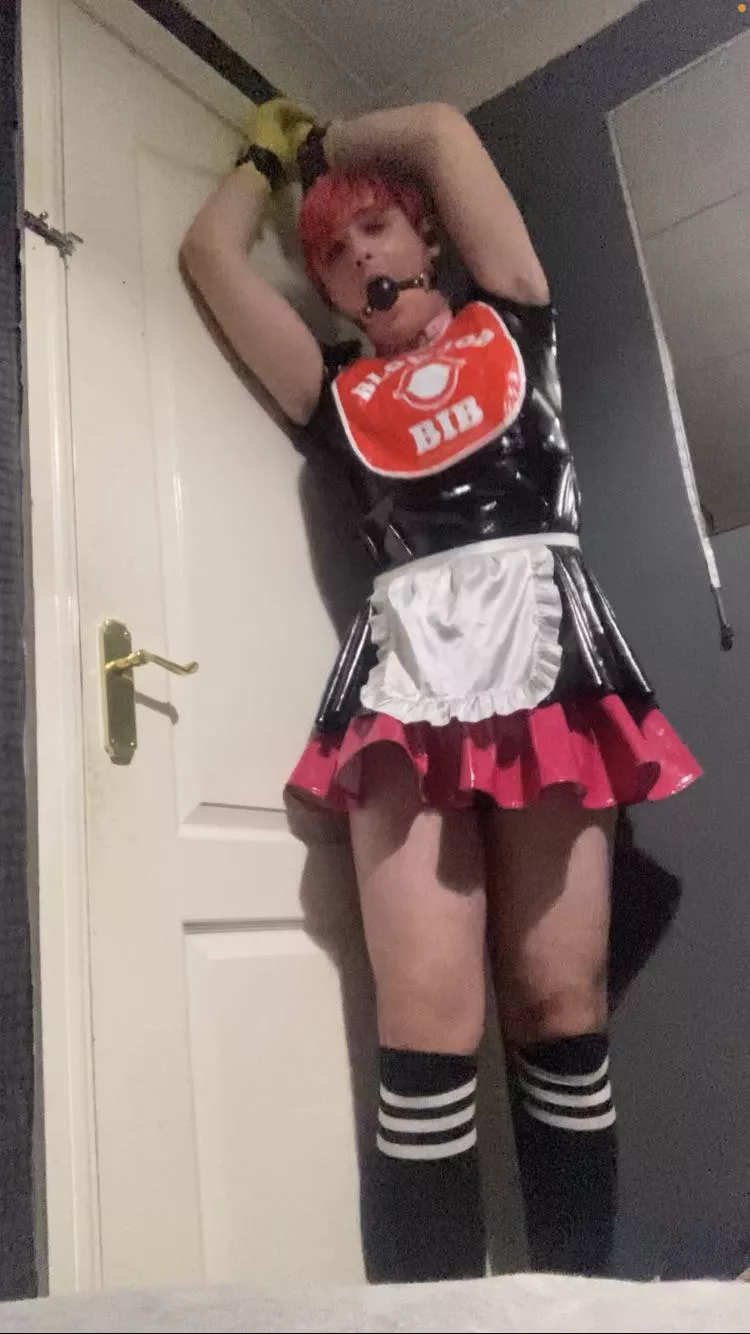Tied up, caged, plugged, gagged, and in a humiliating outfit, humiliate and caption this little sissy maid! Tied up, caged, plugged, gagged, and in a humiliating outfit, humiliate and caption this little sissy maid!