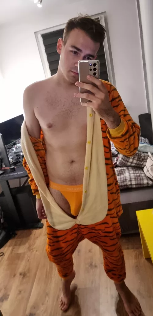 Tiger mode 😳