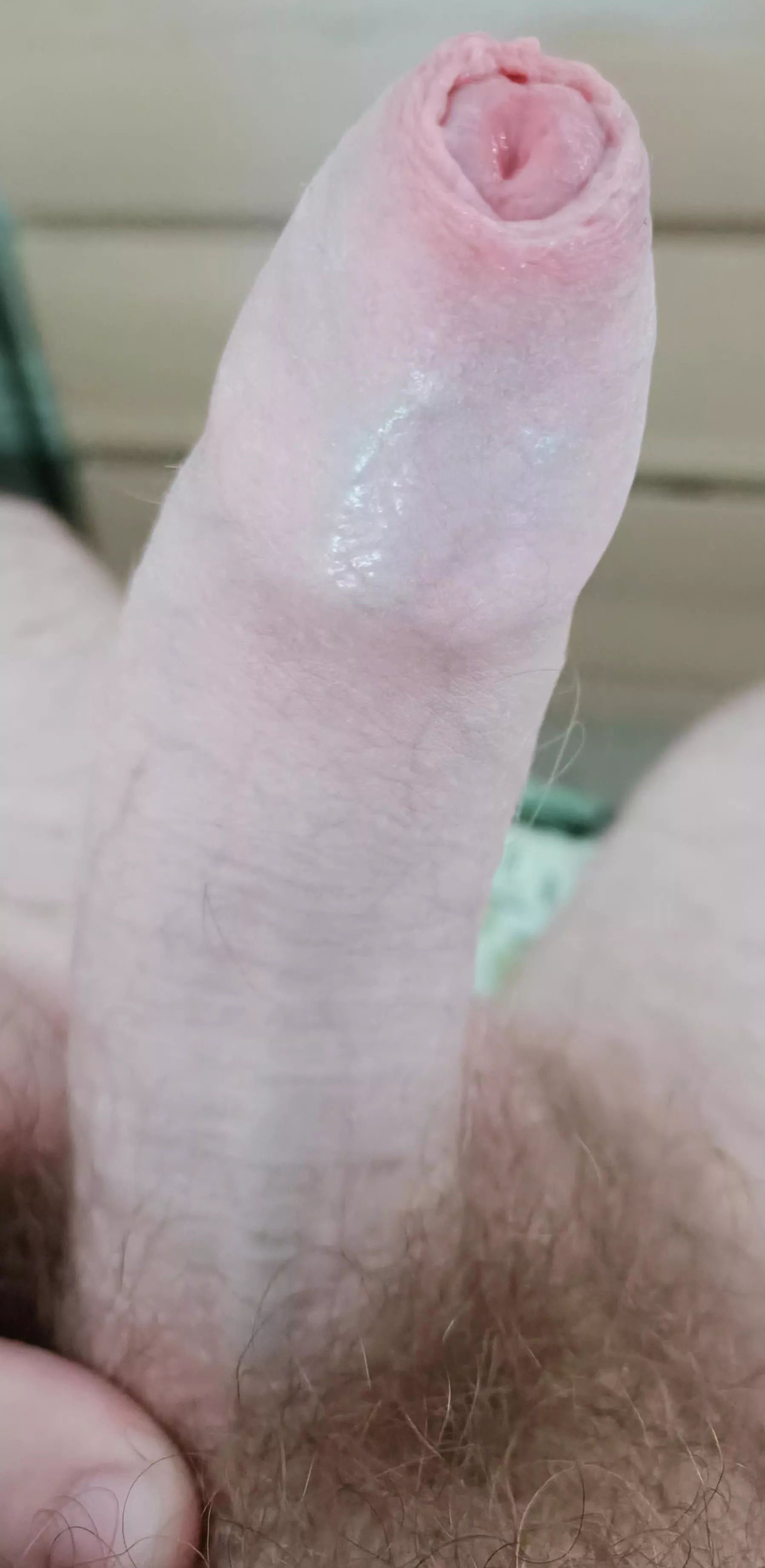 Tight foreskin on a Monday morning