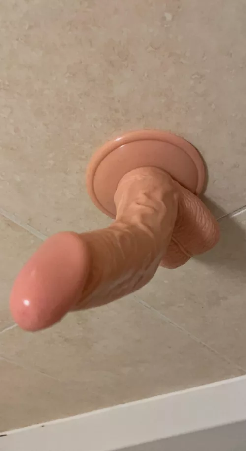 Time for a bathβ¦