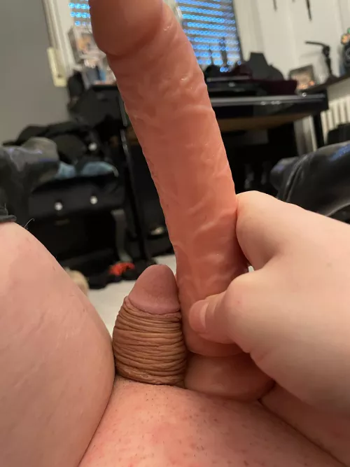 Time for my cage