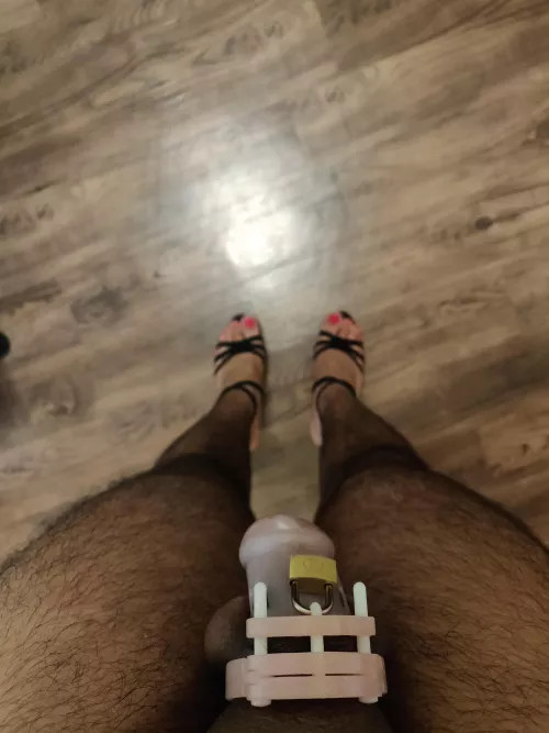 Time for some fun