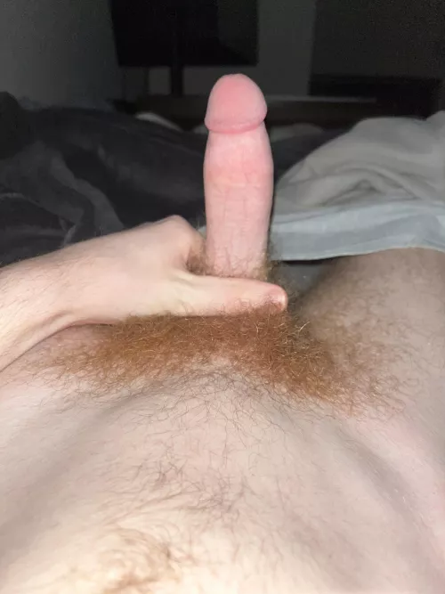 Time to trim the bush a bit?