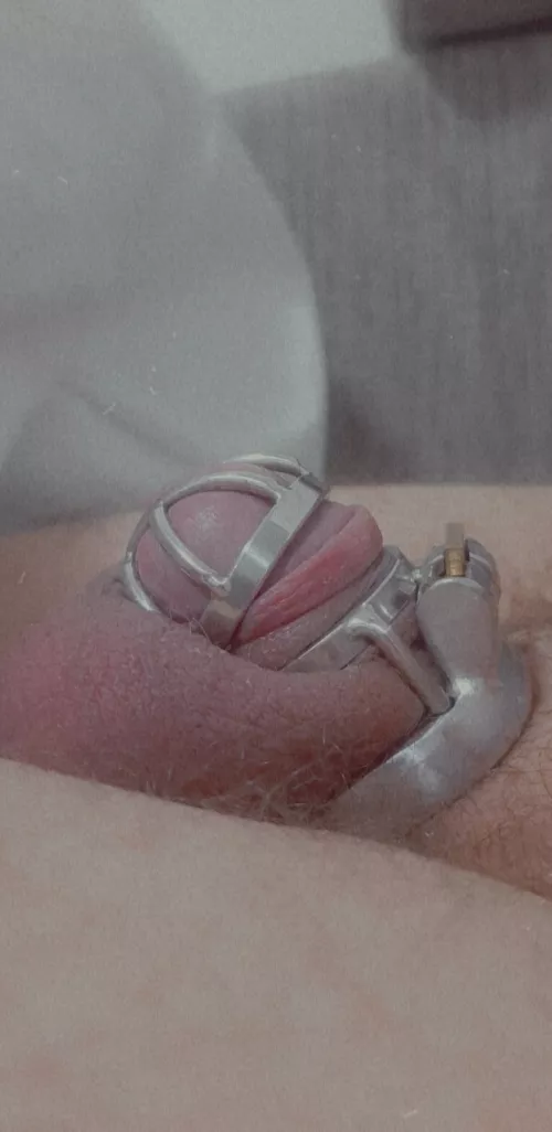 Tiny clitties must be locked🤏🔒