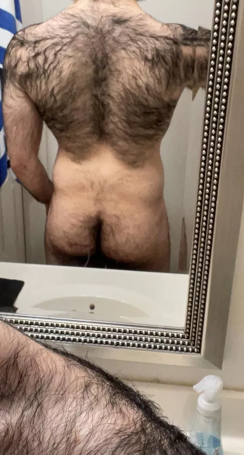 Today was back day