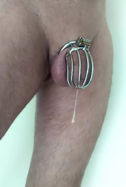 todays status..very horny.