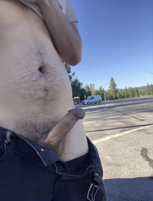 Took my cock out while making some deliveries