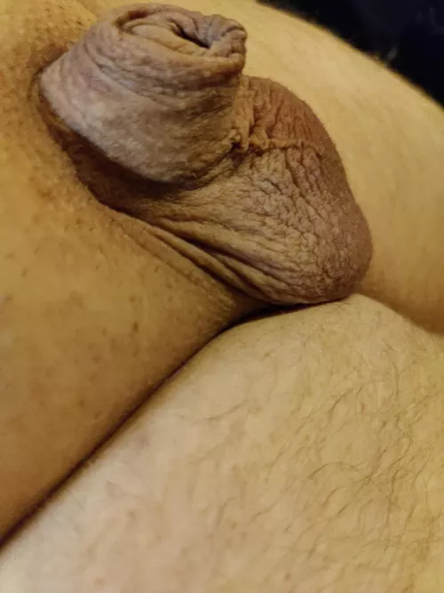 Totally soft. So small. DMs and Chat welcome. (36)