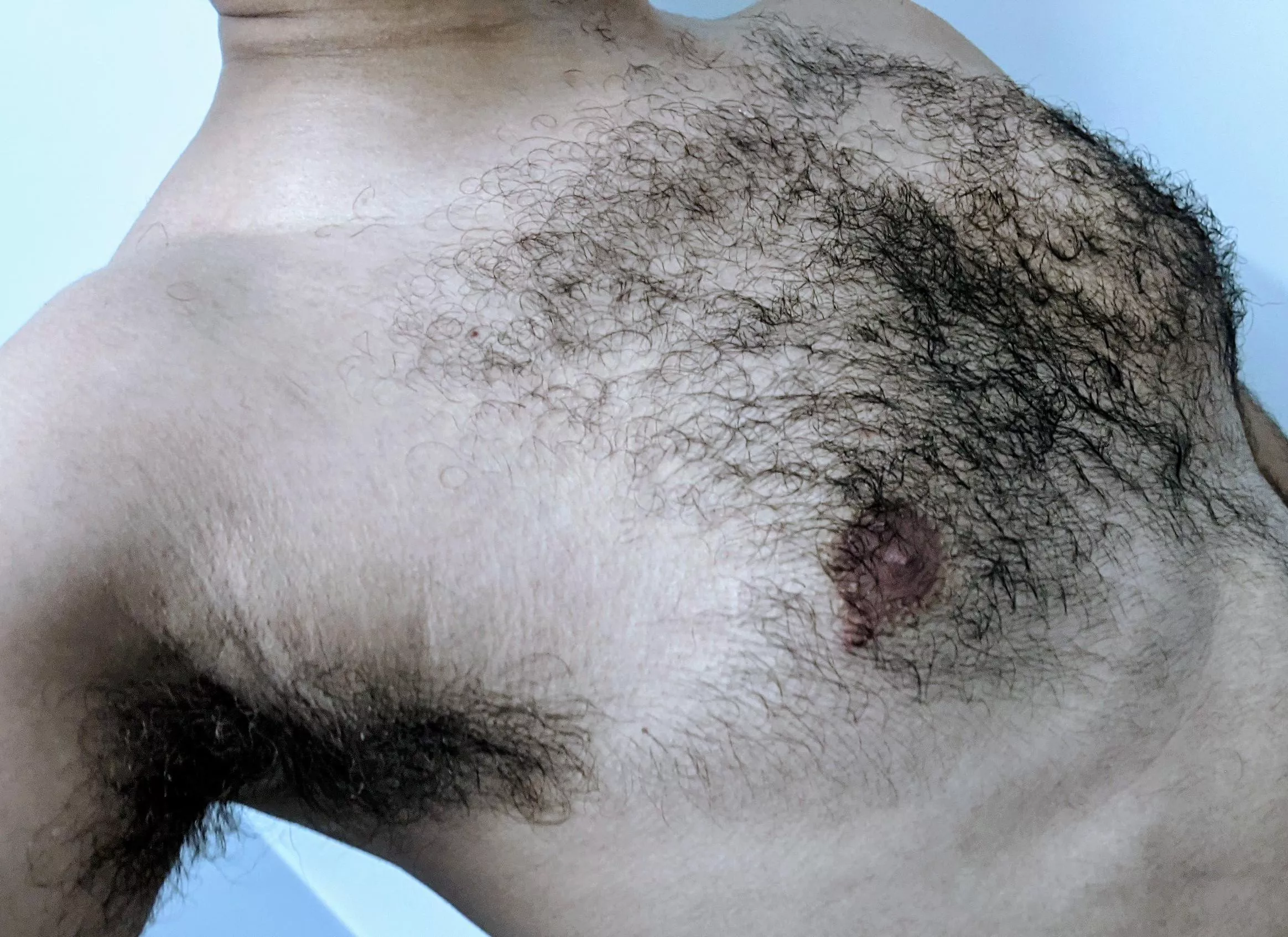 Training hard to be a hairy knight!