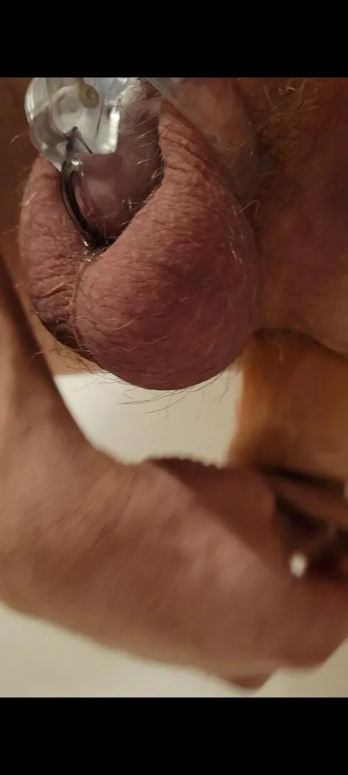 Training the hole to always be ready to please!