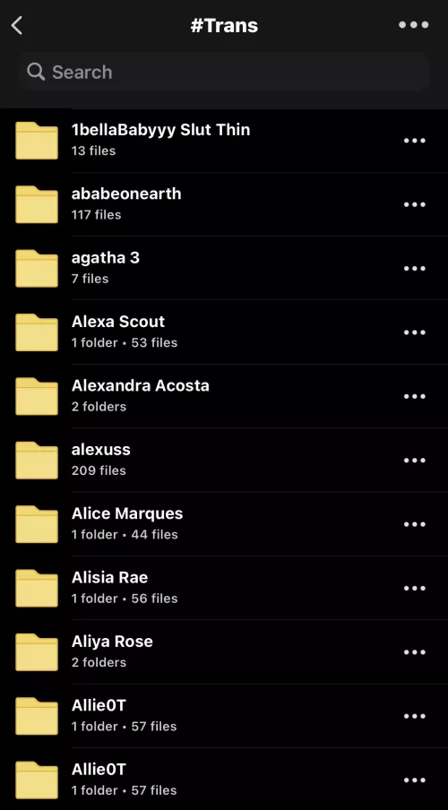 TRANS FOLDER WITH OTHER 370 TGIRLS FOR ONLY $10 DM FOR CASHAPP ❗️