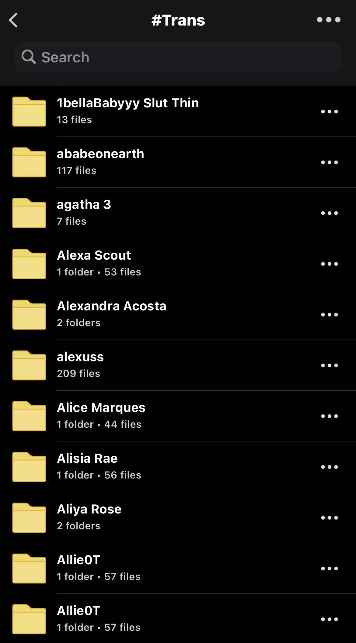 TRANS FOLDER WITH OTHER 370 TGIRLS FOR ONLY $10 DM FOR CASHAPP ❗️