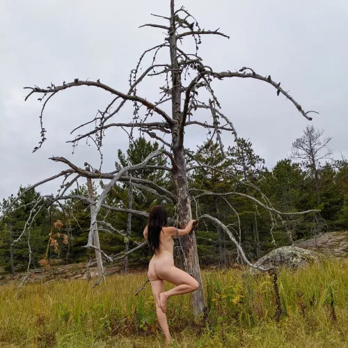 Tree pose Tuesday!!