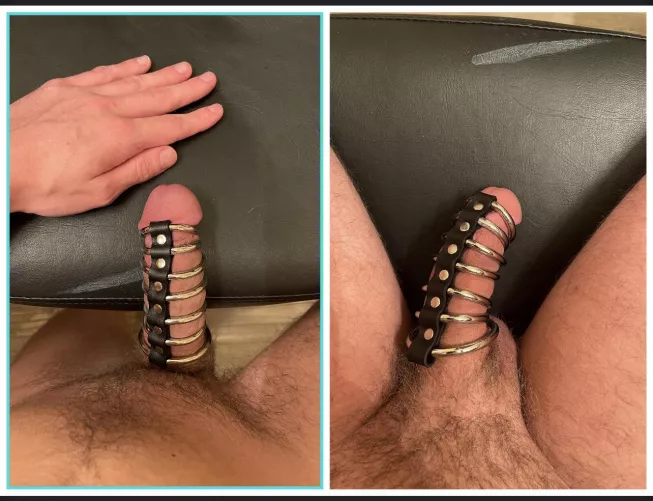 Trying out this new chasity-esk device, first time, does it look alright?