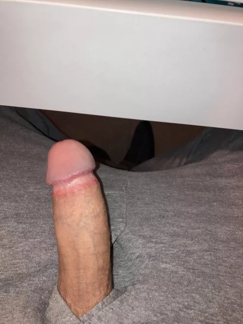 Trying to study but I’m so horny. Need a sucking now. Need some blowjob slaves.