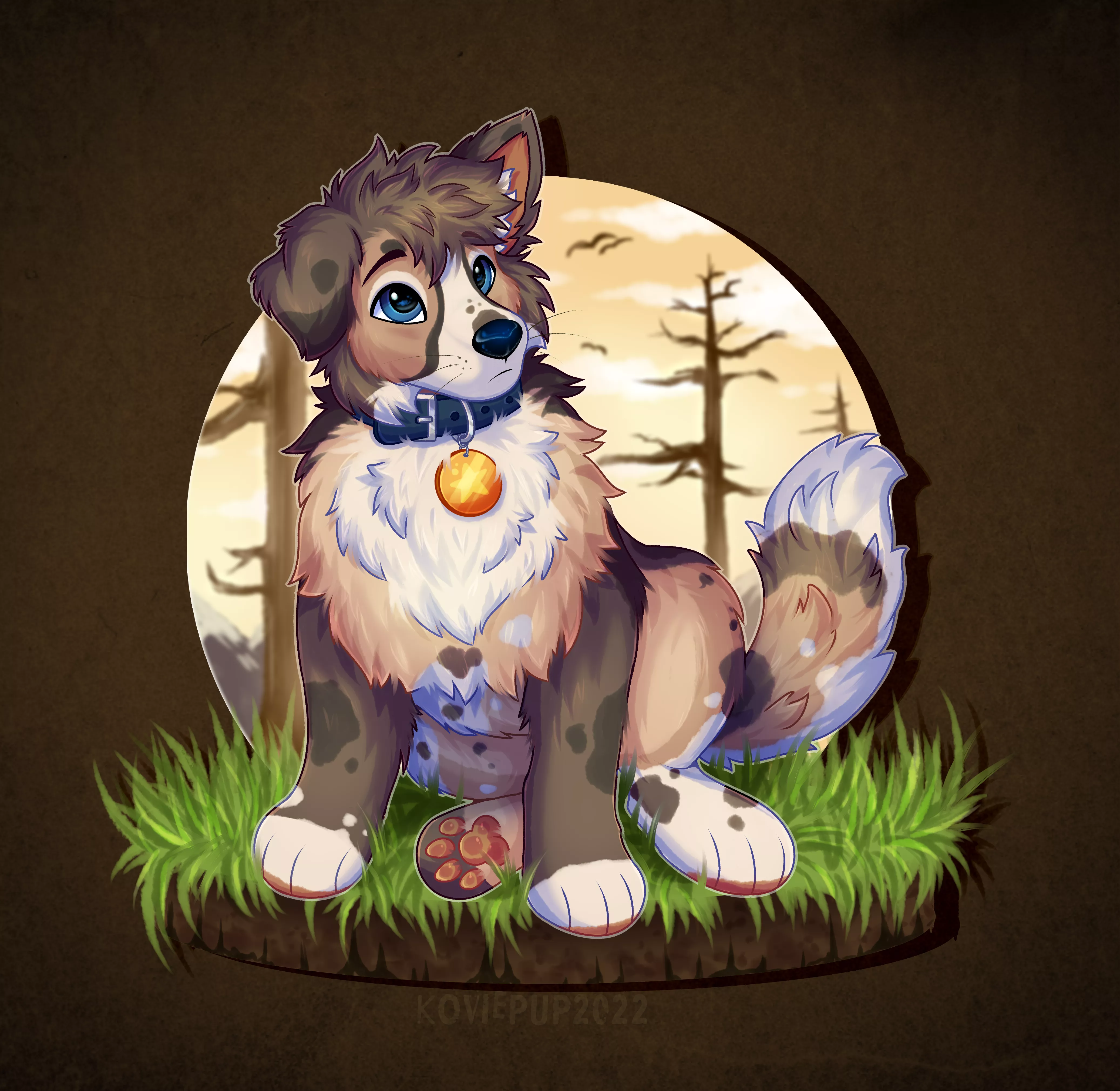 Tucker the Aussie Shep Pup