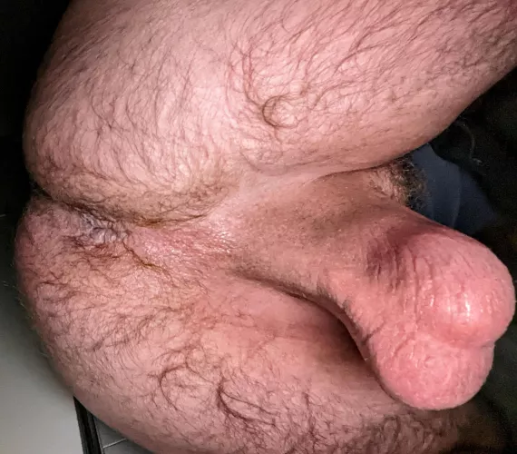 Tug on my nuts for your prize