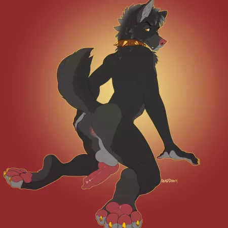 Turned back [M] (Bambii_Dog)