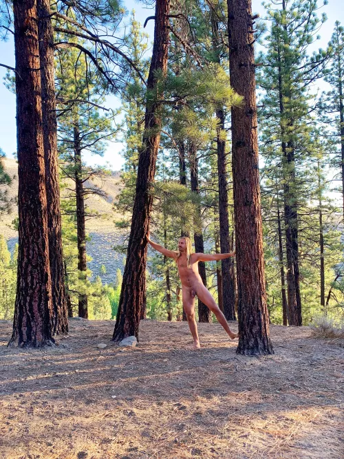 Twas a beautiful sunrise. LOVE a tree, or many ๐๐๐๐ผ