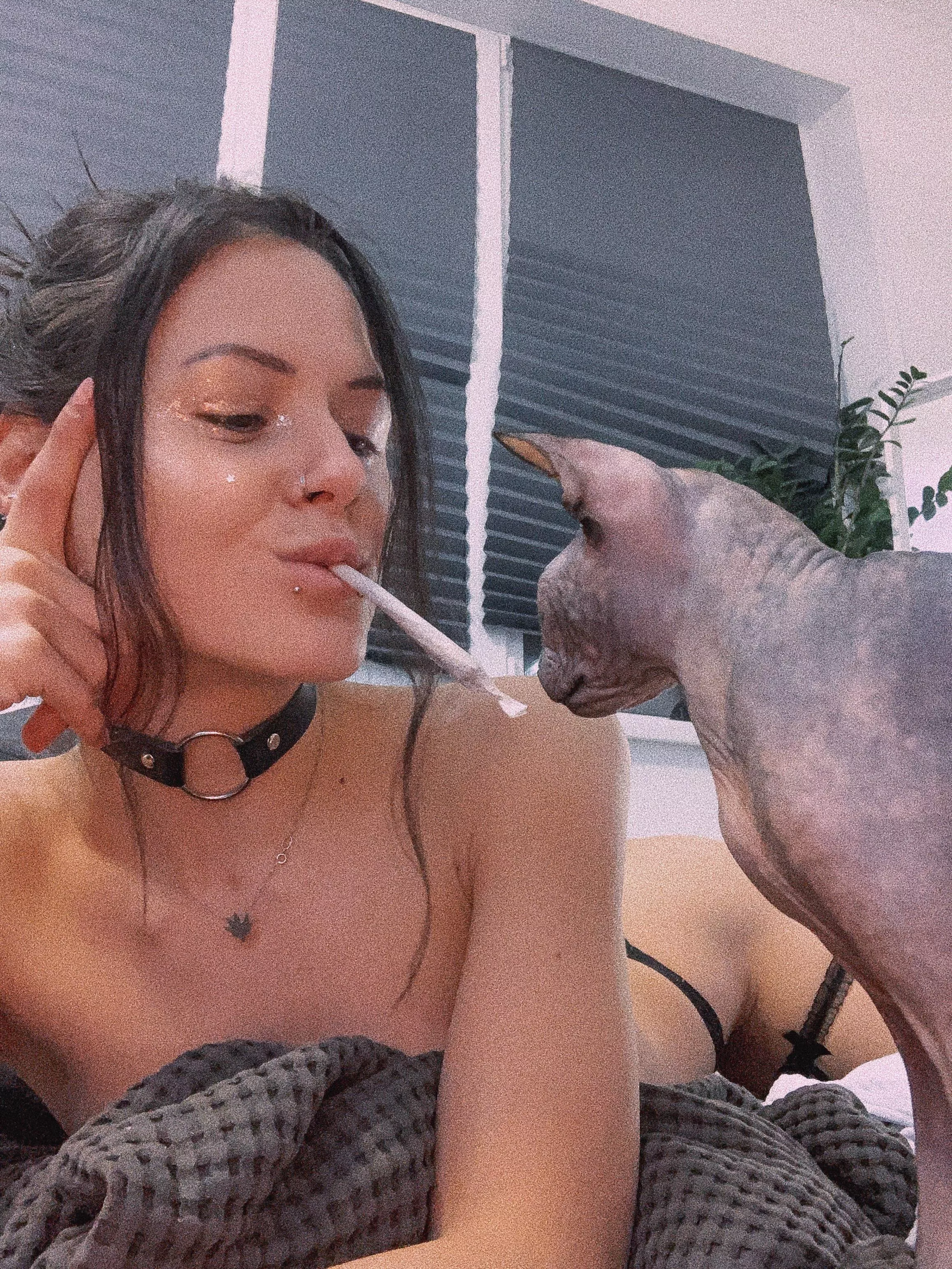 two cats 🐈‍⬛🤪