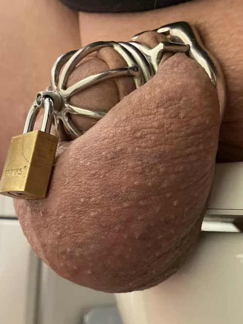Two years of chastity play gone by, starting 3rd year with urethral spout lock from Ternence to keep from pulling out back of cage. KH lets me take spout key for now as we see how long a urethral device can last for me without major irritation. On 3rd da