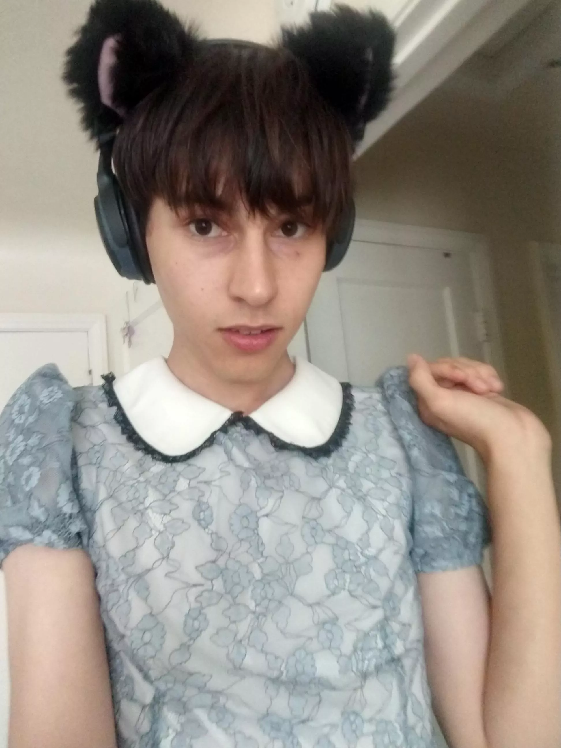 U come home to this kitty, do u give her head pats? 😸